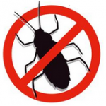 Insecten Insecten