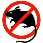 Ratten, muizen Ratten, muizen